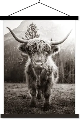 Produktbild von MuchoWow® Textilposter Schottisches Hochlandrind - Schwarz - Weiß - Tiere 60x80 cm mit schwarzem Rahmen - Plakathalter