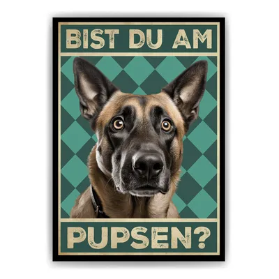 Produktbild von Malinois - Bist du am Pupsen? Hunde Poster Badezimmer Gästebad Wandbild Klo Toilette Dekoration Lustiges Gäste-WC Bild DIN A4 – DIN A4 (21x29.7cm)
