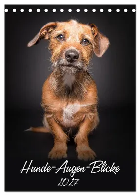 Produktbild von Hunde-Augen-Blicke (Tischkalender 2027 DIN A5 hoch), CALVENDO Monatskalender