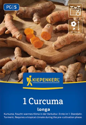 Produktbild von Kiepenkerl Gewürzpflanze Kurkuma Curcuma longa 1 Pflanze