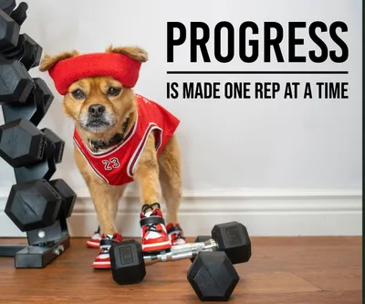 Fitness-Motivationsspruch – Decords Wandtattoo, Produktansicht 1