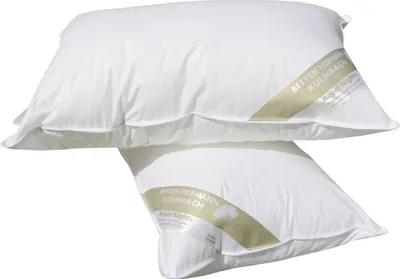 Produktbild von 2 Stück Betten Hofmann Basic Allergiker Kleinkissen Faserkissen 40x60 cm 300 g
