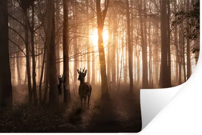 Produktbild von MuchoWow® Wandtattoo Wandsticker Wandaufkleber Wald - Hirsche - Sonne - Bäume - Winter - Natur - Tiere 30x20 cm Selbstklebend und Repositionierbar - Wierderverwendbar - Selbstklebend