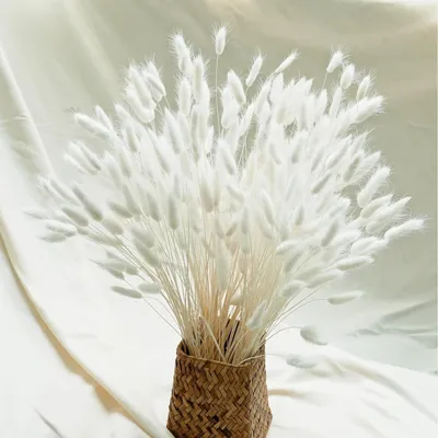 Produktbild von Pampas White Trockenblumen Hochzeitsdekoration Beige Herbsttöne