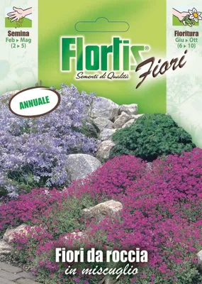 Artikelbild 1 von 'Rockblumen Mischung' aus der Kategorie Blumensamenmischung