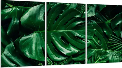 Produktbild von Glasschutzplatte für Herd 3x30x52