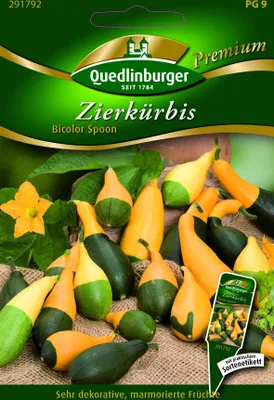 Produktbild von Zierkürbis, Bicolor Spoon