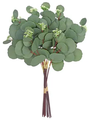 Produktbild von Künstliche Eukalyptus Dekozweige 54 cm 10er Set Grün