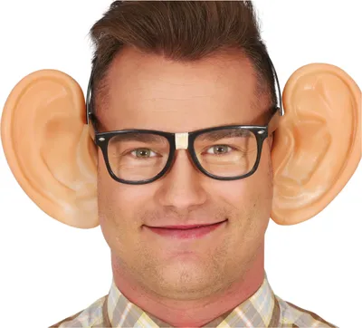 Image de Grandes oreilles sur le bandeau - intello