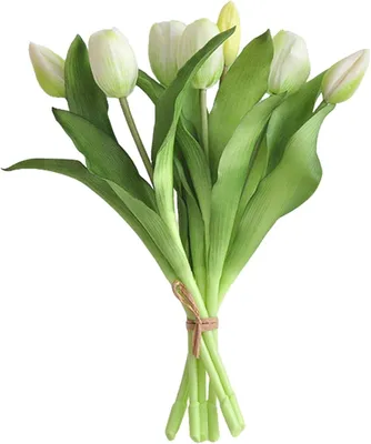 Productafbeelding van Kunsttulpen - Set van 7 - Kunststof