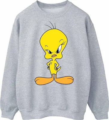 Produktbild von Looney Tunes - "Angry" Sweatshirt für Herren BI2134 (XL) (Grau)