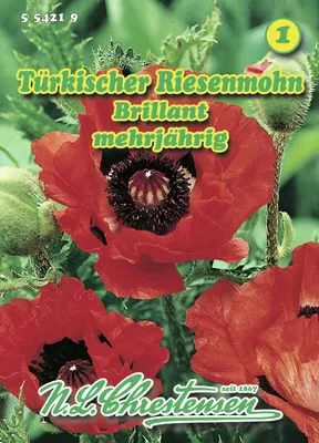 Produktbild von Türkischer Riesenmohn Brillant | Mohnsamen von N.L. Chrestensen