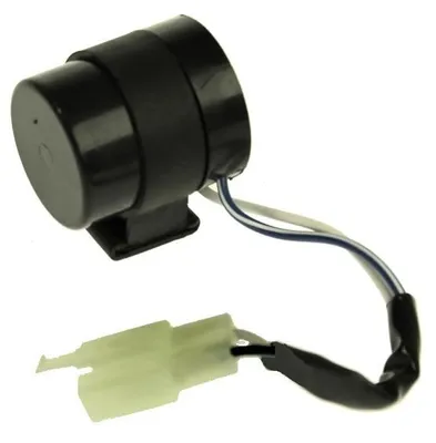 Produktbild von Blinker Relais, Blinkerrelais 2-Polig für GY6, QMA, QMB, Baotian, Rex, MKS