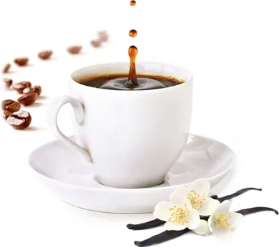 Produktbild von Bourbon Vanille Espresso Pulver 10kg