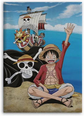Produktbild von One Piece Fleecedecke Schmusedecke Kuscheldecke 100 x 140 cm