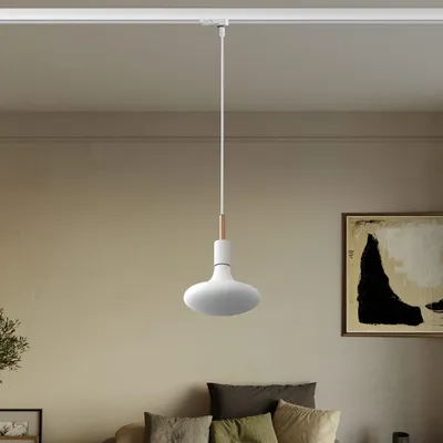 Image de Creative Cables - Suspension pour rail avec serre-câble de 7 cm - ampoule incluse