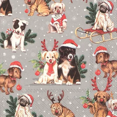 Produktbild von Ihre Hundeparty: Papiertücher