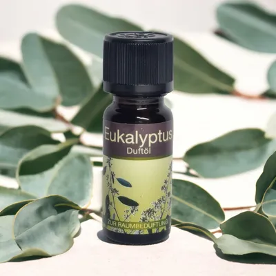 Produktbild von Duftöl 10ml Grosse Auswahl II  Duftlampe Duftstein Aromaöl Tolle Düfte  - Auswahl: Eukalyptus