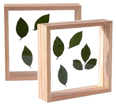 Immagine prodotto di Set di 2 cornici in legno per fiori secchi e piante