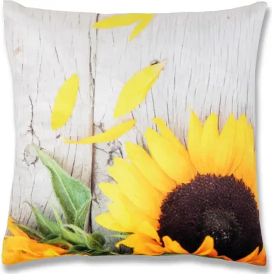 Produktbild von Kissenhülle Fotodruck 2er Pack, Sonnenblume 40x40cm