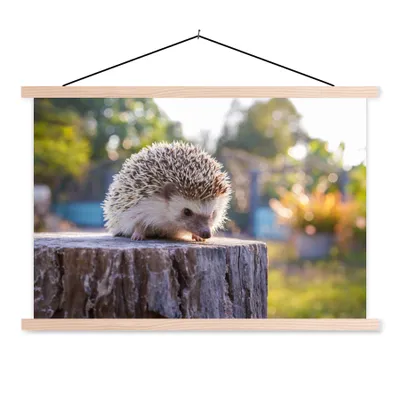 Produktbild von MuchoWow® Textilposter Igel auf einem Baumstamm 120x80 cm mit holzfarbenen Rahmen - Aufhängeset