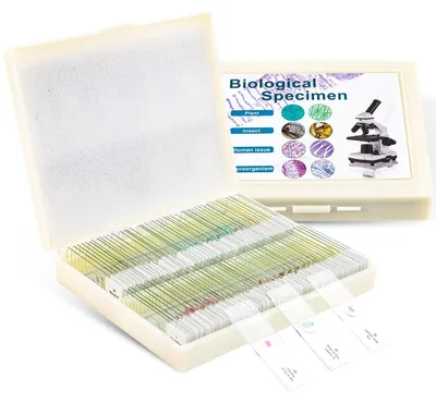 Productafbeelding van Set van 100 Microscopische Glijschalen voor Onderwijs