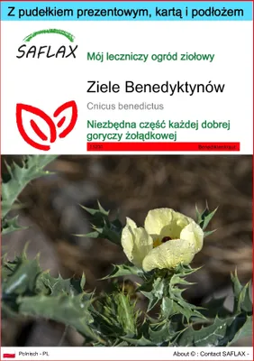 Zdjęcie produktu dla SAFLAX - Zestaw prezentowy - Ziele Benedyktynów - 50 Nasiona - Z pudełkiem upominkowym, etykietą wysyłkową, kartą podarunkową i podłożem uprawowym - Cnicus benedictus