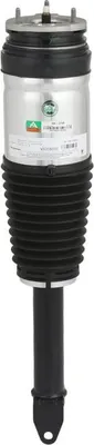 Image de Arnott AS-3748 Amortisseur à air avant pour TESLA Model S (5YJS)