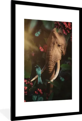 Produktbild von MuchoWow® MuchoWow® Gerahmtes Poster Elefant - Vogel - Schmetterling - Dschungel 60x90 cm - Poster mit zchwarzem Bilderrahmen - Dekoration - Wandposter Wohnzimmer - Hochwertig