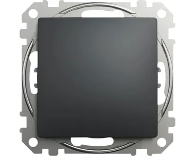 Obrázok produktu pre Tlačidlo Schneider Electric SEDNA SDD114111 r. 1/0 antracit