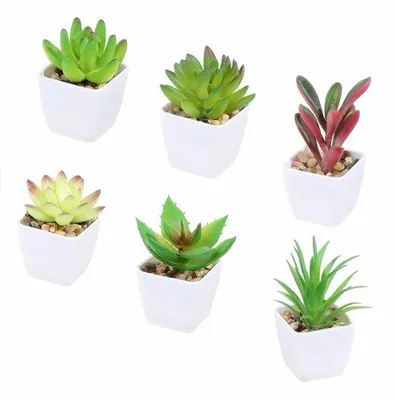 Image de Plantes succulentes artificielles - Décoration miniature