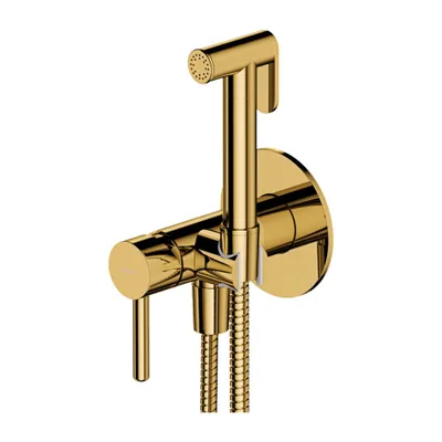 Image de Omnires Y SYSYBI2GL Ensemble de bidet encastré, doré