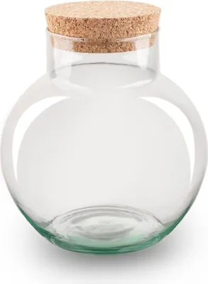 Image de Bouteille de terrarium - Bouteille de verre fermée avec bouchon - Hauteur 20cm