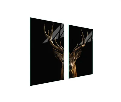 Produktbild von Herdabdeckplatten 2 teilig 75x52 Glaskeramikkochfeld Abdeckung Glas Schneidebrett Reh Schwarz