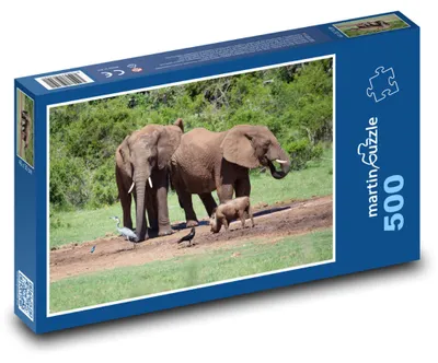 Zdjęcie produktu dla Puzzle 500 Rodzina słoni na wolności - martinpuzzle