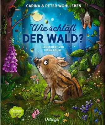 Produktbild von Wie schläft der Wald?