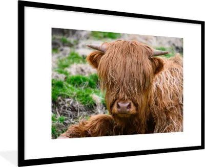 Produktbild von MuchoWow® Gerahmtes Poster Schottischer Highlander - Heu - Gras 90x60 cm - Poster mit Schwarzem Bilderrahmen Wandposter Rahmen Foto Bilder - Wanddekoration - Fotos