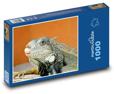 Produktbild von Puzzle 1000 Leguan in exotischer Landschaft - martinpuzzle