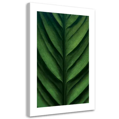 Produktbild von Leinwandbild Grünes Blatt, Makro 40x60 Feeby Grün bild für die wand bereit zum aufhängen