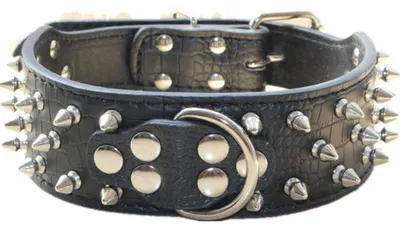 Produktbild von Hundehalsband Kunstleder Nieten 5 cm Breite Schwarz Größe M