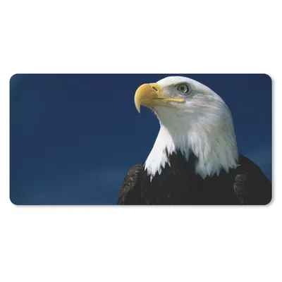 Produktbild von MuchoWow® Mauspad Mousepad Ein Weißkopfseeadler schaut in einen blauen Himmel 60x30 cm - Mousepads - Maus Mat - Pad - Mausunterlage - Nachhaltig