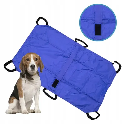 Zdjęcie produktu dla Duże Nosze Weterynaryjne Dla Zwierząt 120X74Cm Z 6 Uchwytami I Pasem 110Kg