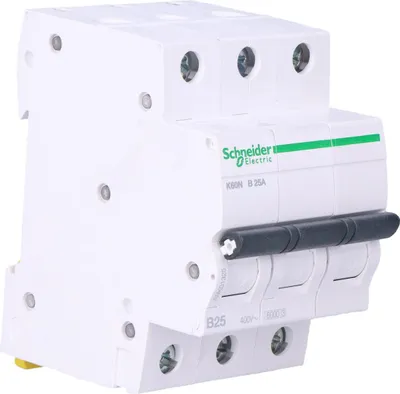 Obrázok produktu pre Schneider Electric A9K01325, Miniatúrny istič, Typ B, 6000 A, IP20