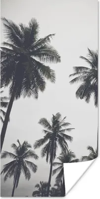 Produktbild von MuchoWow® Poster Palme - Tropisch - Natur 20x40 cm - Plakat - Foto