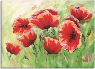 Produktbild von ARTland Leinwandbild Rote Mohnblumen II Größe: 70x50 cm
