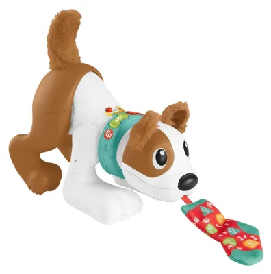Immagine prodotto di Fisher-Price Cagnolino 123 Gattona con me (Mattel HGY57) MATTEL