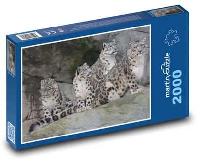 Zdjęcie produktu dla Puzzle 2000 Lamparty na Skale - martinpuzzle