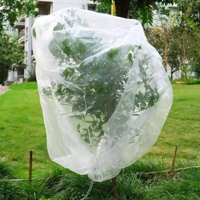 Obrázok produktu pre Modrá ochranná sieť na ovocie 195 x 175 cm pre vtáky v záhrade
