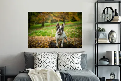 Produktbild von MuchoWow® - Selbstklebend - Fototapeten