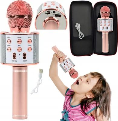 A collage of a pink karaoke microphone, including a close-up of the controls, a microphone in a case, and a child singing into the microphone.